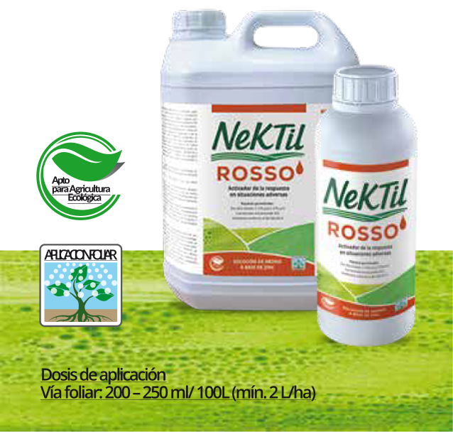 NeKTil Rosso